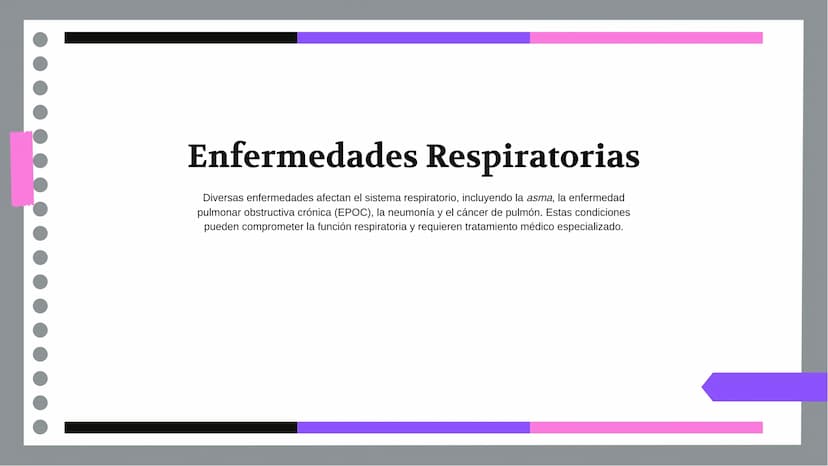 Anatomía y Funcionamiento
del Sistema Respiratorio:
Una Visión Integral DDD
Introducción
El sistema respiratorio es fundamental para la vida