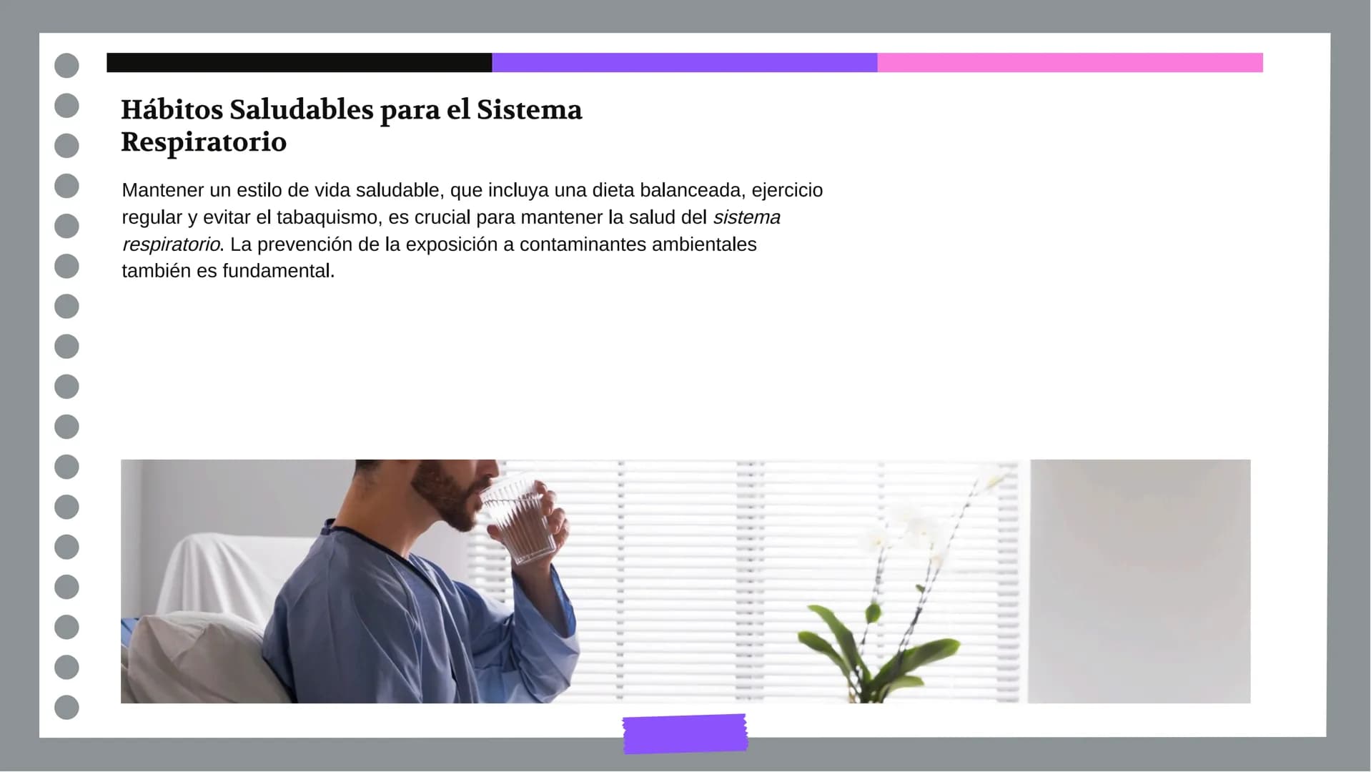 Anatomía y Funcionamiento
del Sistema Respiratorio:
Una Visión Integral DDD
Introducción
El sistema respiratorio es fundamental para la vida