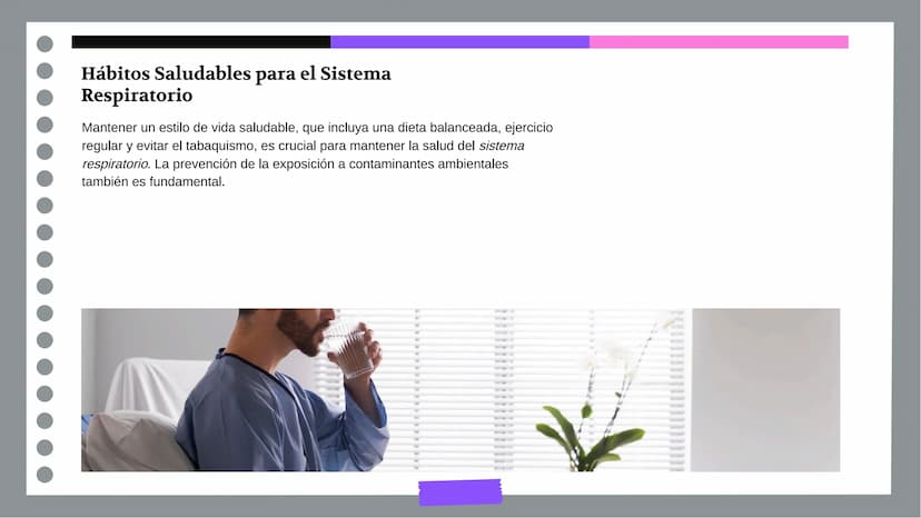 Anatomía y Funcionamiento
del Sistema Respiratorio:
Una Visión Integral DDD
Introducción
El sistema respiratorio es fundamental para la vida