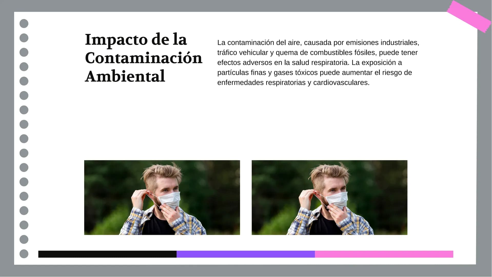 Anatomía y Funcionamiento
del Sistema Respiratorio:
Una Visión Integral DDD
Introducción
El sistema respiratorio es fundamental para la vida