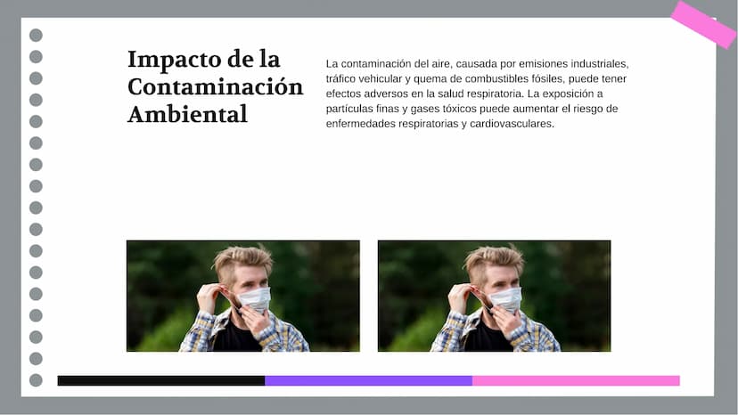 Anatomía y Funcionamiento
del Sistema Respiratorio:
Una Visión Integral DDD
Introducción
El sistema respiratorio es fundamental para la vida