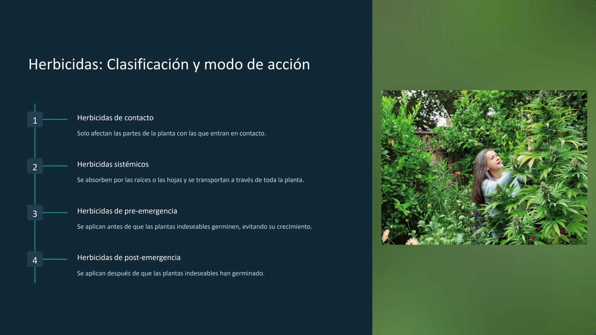 Química de los
plaguicidas
eezy
Los plaguicidas son sustancias químicas utilizadas para
para controlar plagas que afectan los cultivos y la 