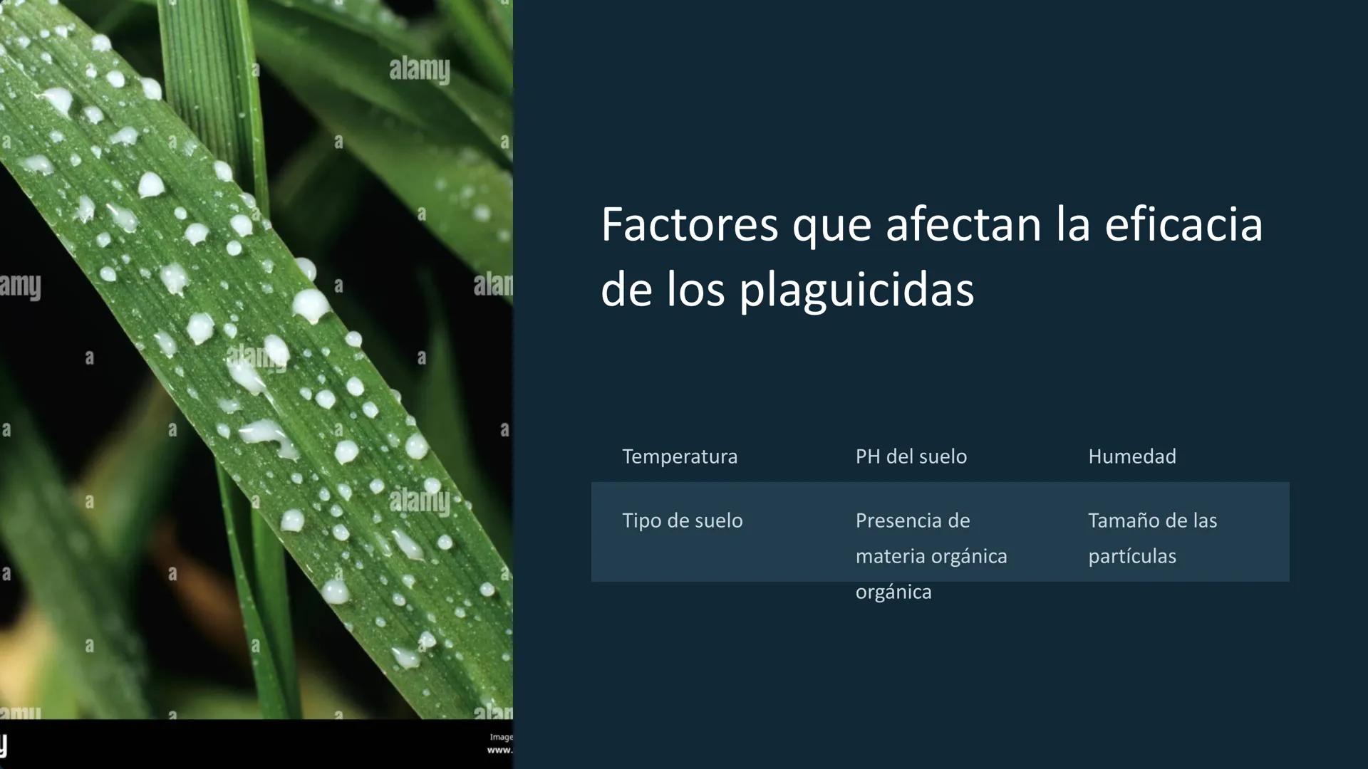 Química de los
plaguicidas
eezy
Los plaguicidas son sustancias químicas utilizadas para
para controlar plagas que afectan los cultivos y la 