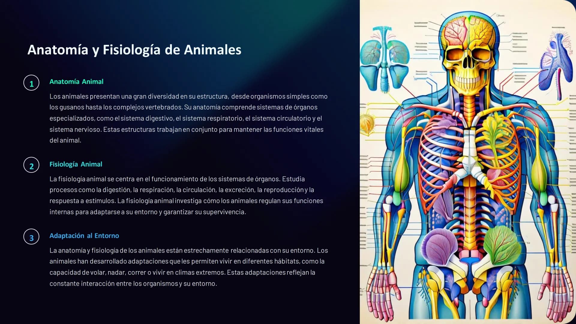 Estructura y Función
de los Organismos
La biología es la ciencia que estudia la vida. Desde el microscópico
mundo de las células hasta los c