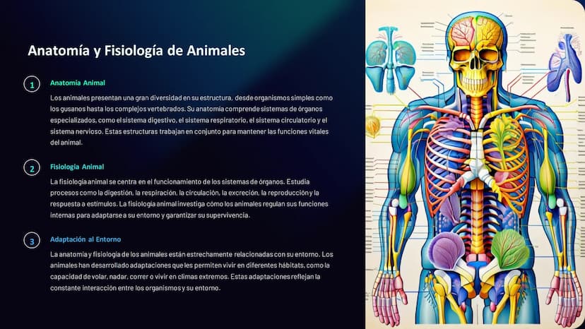 Estructura y Función
de los Organismos
La biología es la ciencia que estudia la vida. Desde el microscópico
mundo de las células hasta los c
