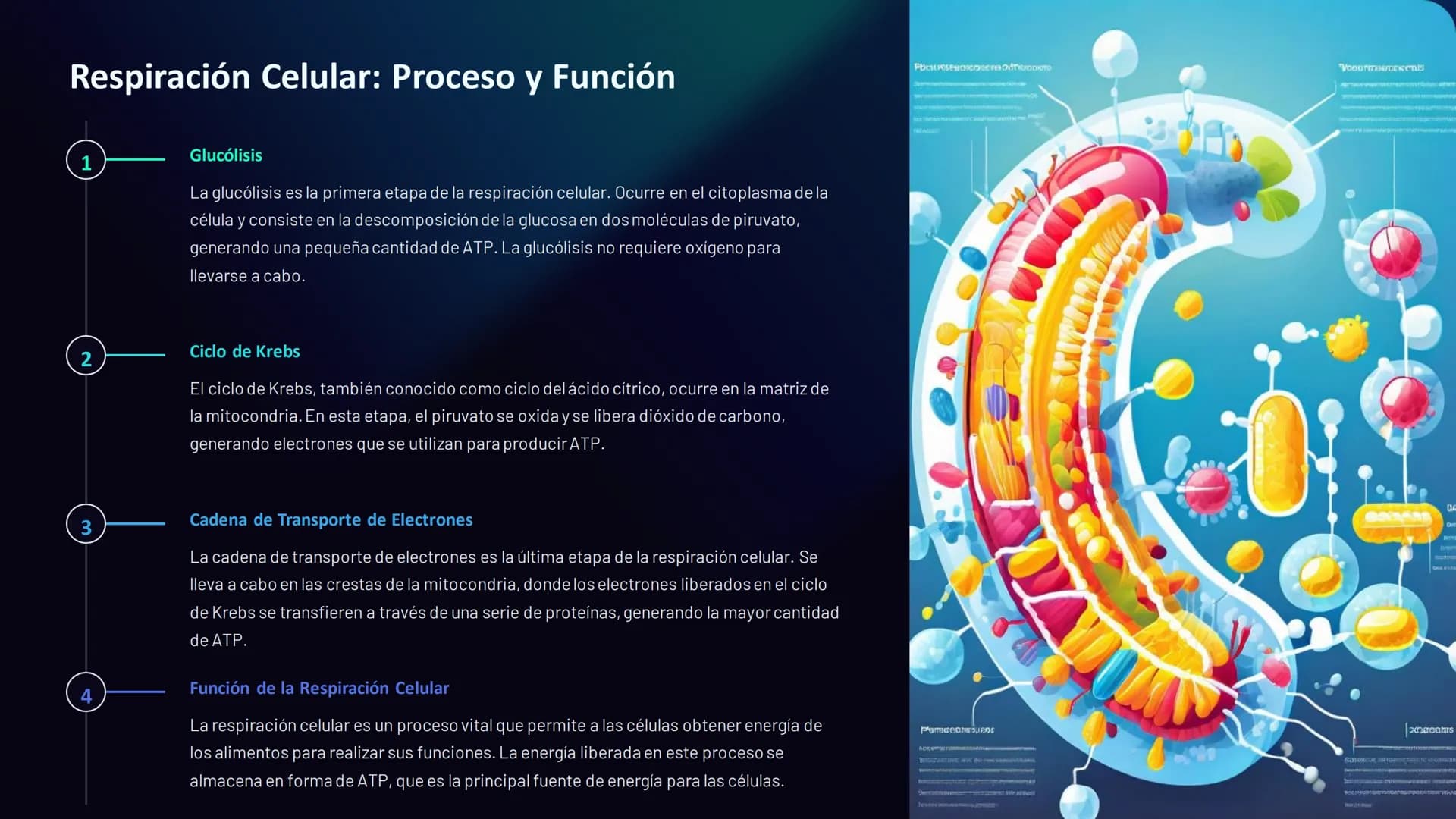 Estructura y Función
de los Organismos
La biología es la ciencia que estudia la vida. Desde el microscópico
mundo de las células hasta los c