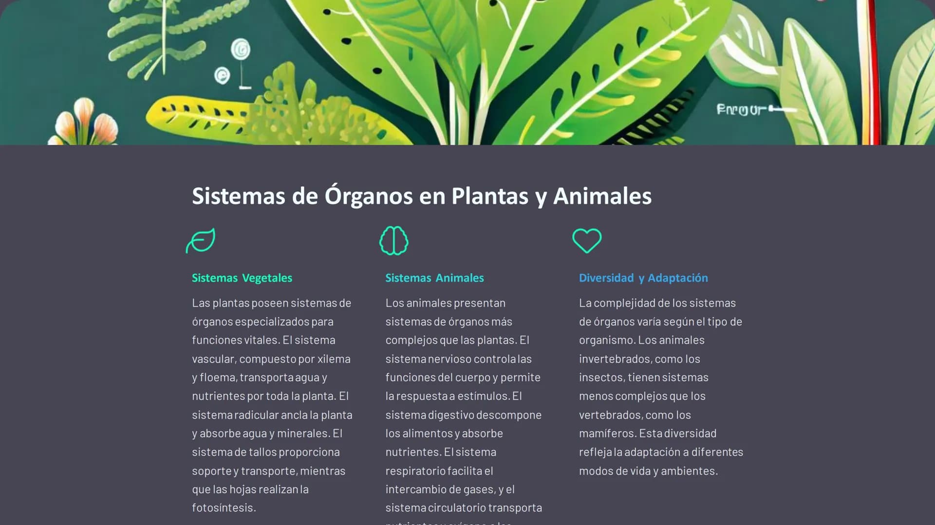 Estructura y Función
de los Organismos
La biología es la ciencia que estudia la vida. Desde el microscópico
mundo de las células hasta los c
