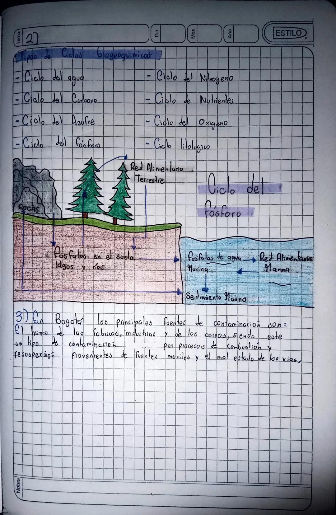 Notas

Red Trófica

PRODUCTORES

CONSUMIDORES DE
PRIMER GREN

DESCOMPONEDORES

Tema
Dib

CONSUMIDORES EN
TERCER ORDEN

CONSUMIDORES DE
SEGUN