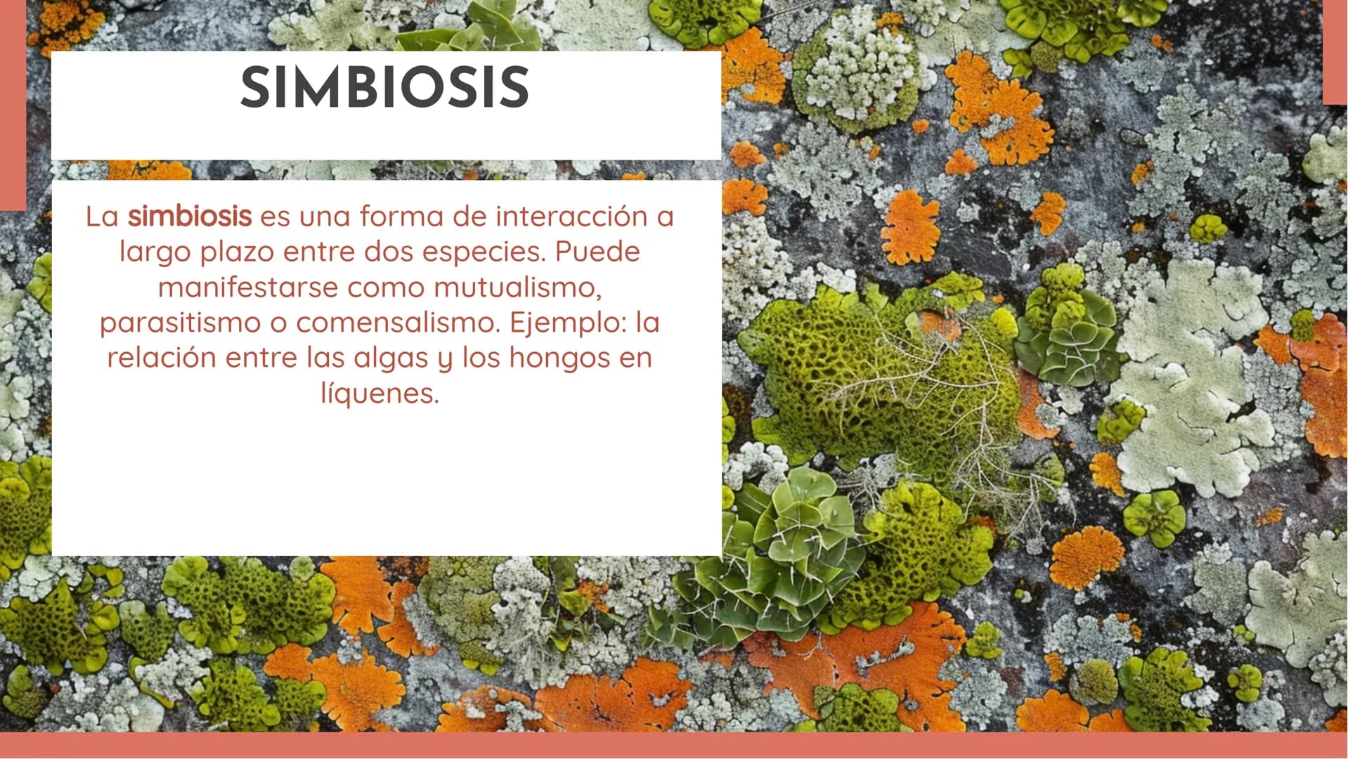 100
EXPLORANDO LAS
RELACIONES
ECOLÓGICAS:
EJEMPLOS Y
DEFINICIONES INTRODUCCIÓN
En esta presentación exploraremos las
relaciones ecológicas e