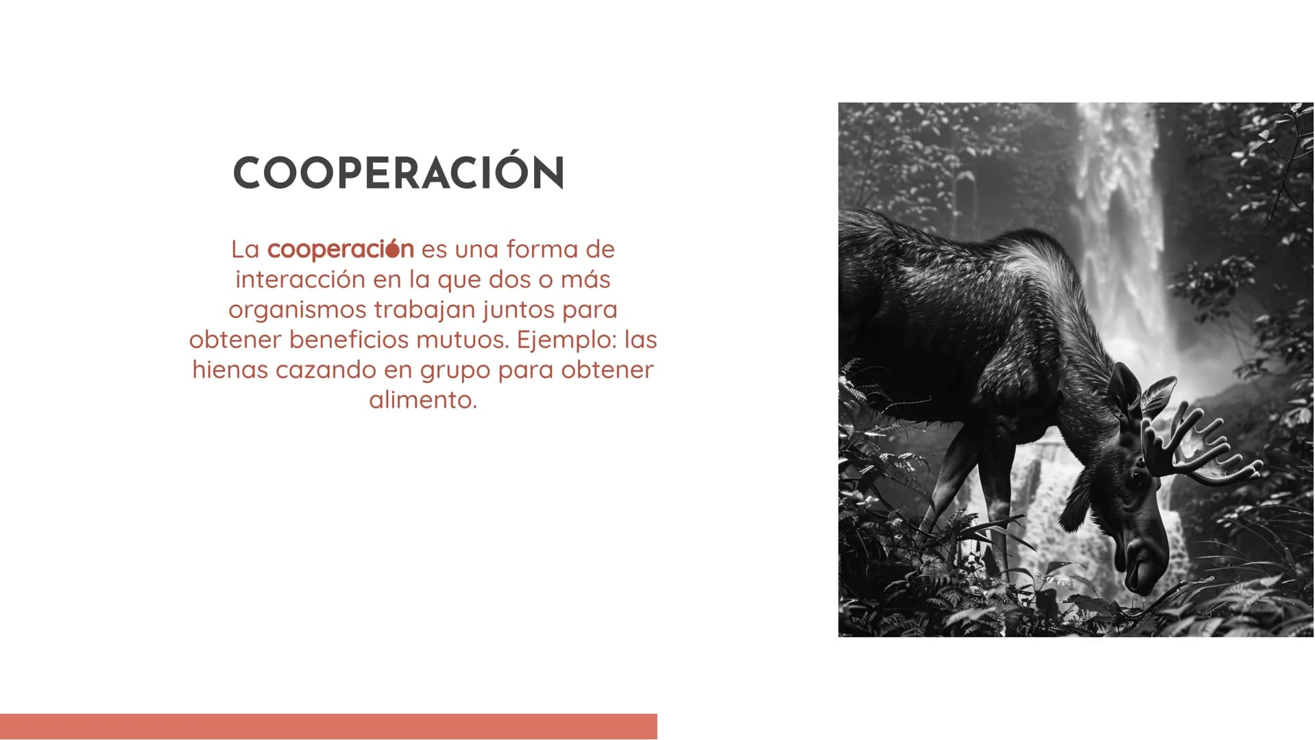 100
EXPLORANDO LAS
RELACIONES
ECOLÓGICAS:
EJEMPLOS Y
DEFINICIONES INTRODUCCIÓN
En esta presentación exploraremos las
relaciones ecológicas e