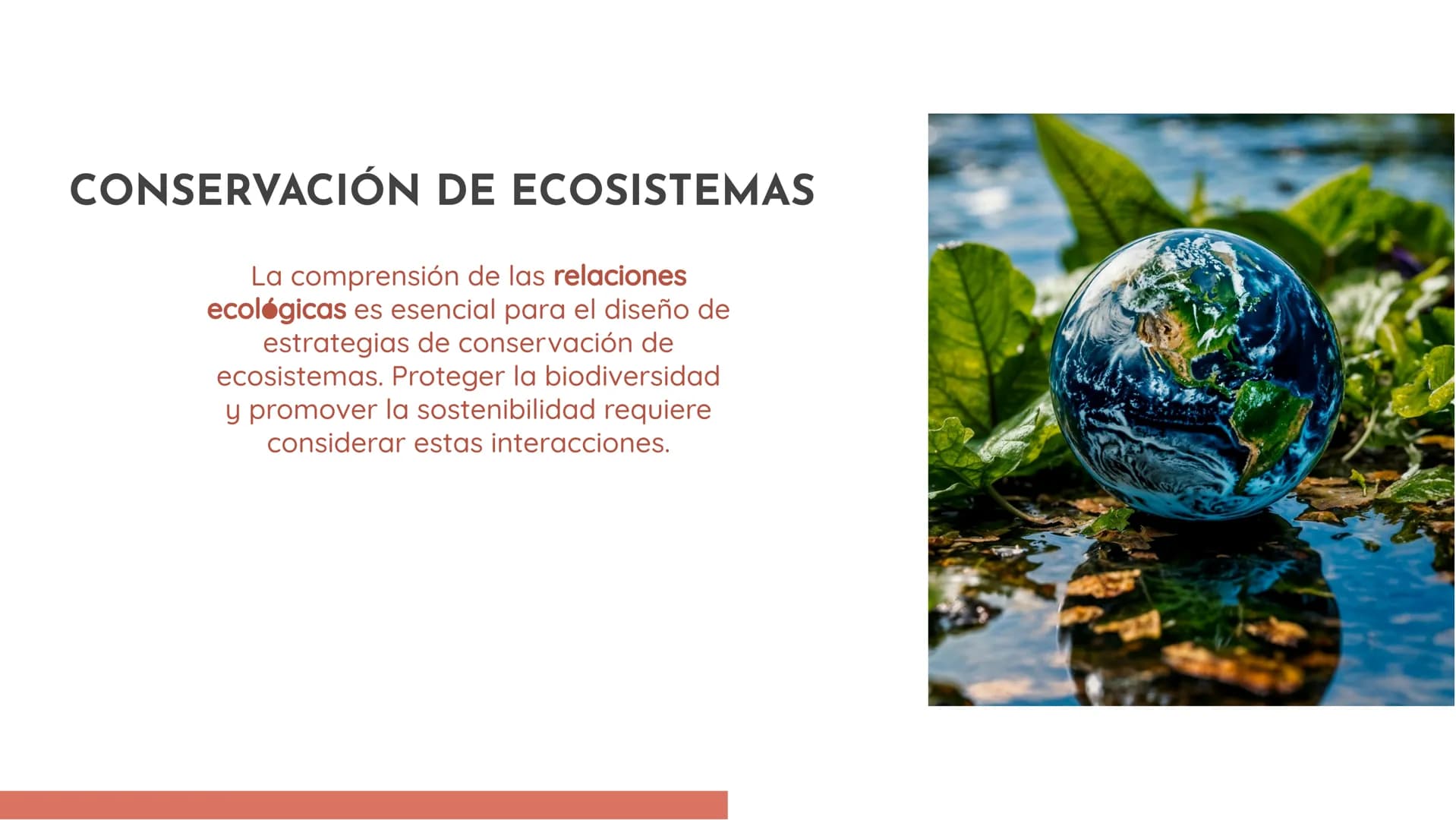 100
EXPLORANDO LAS
RELACIONES
ECOLÓGICAS:
EJEMPLOS Y
DEFINICIONES INTRODUCCIÓN
En esta presentación exploraremos las
relaciones ecológicas e