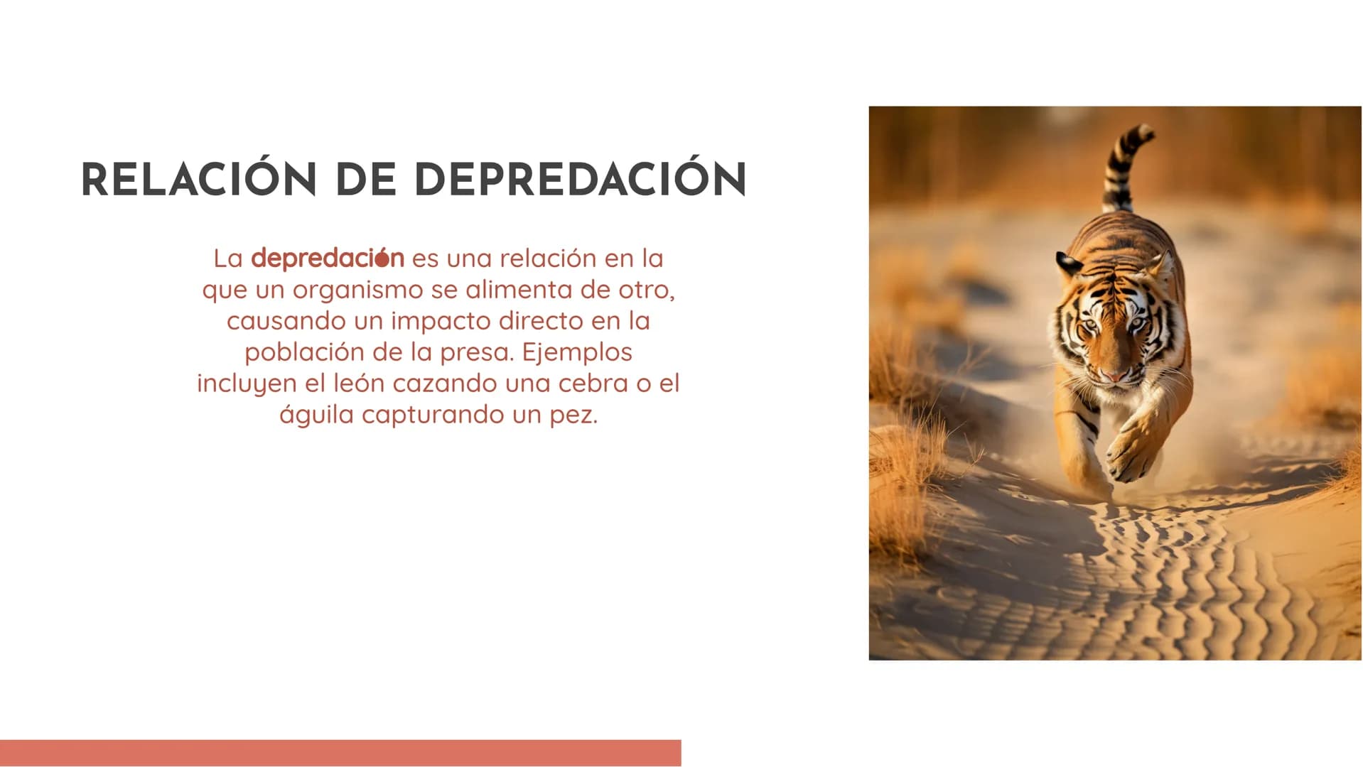 100
EXPLORANDO LAS
RELACIONES
ECOLÓGICAS:
EJEMPLOS Y
DEFINICIONES INTRODUCCIÓN
En esta presentación exploraremos las
relaciones ecológicas e