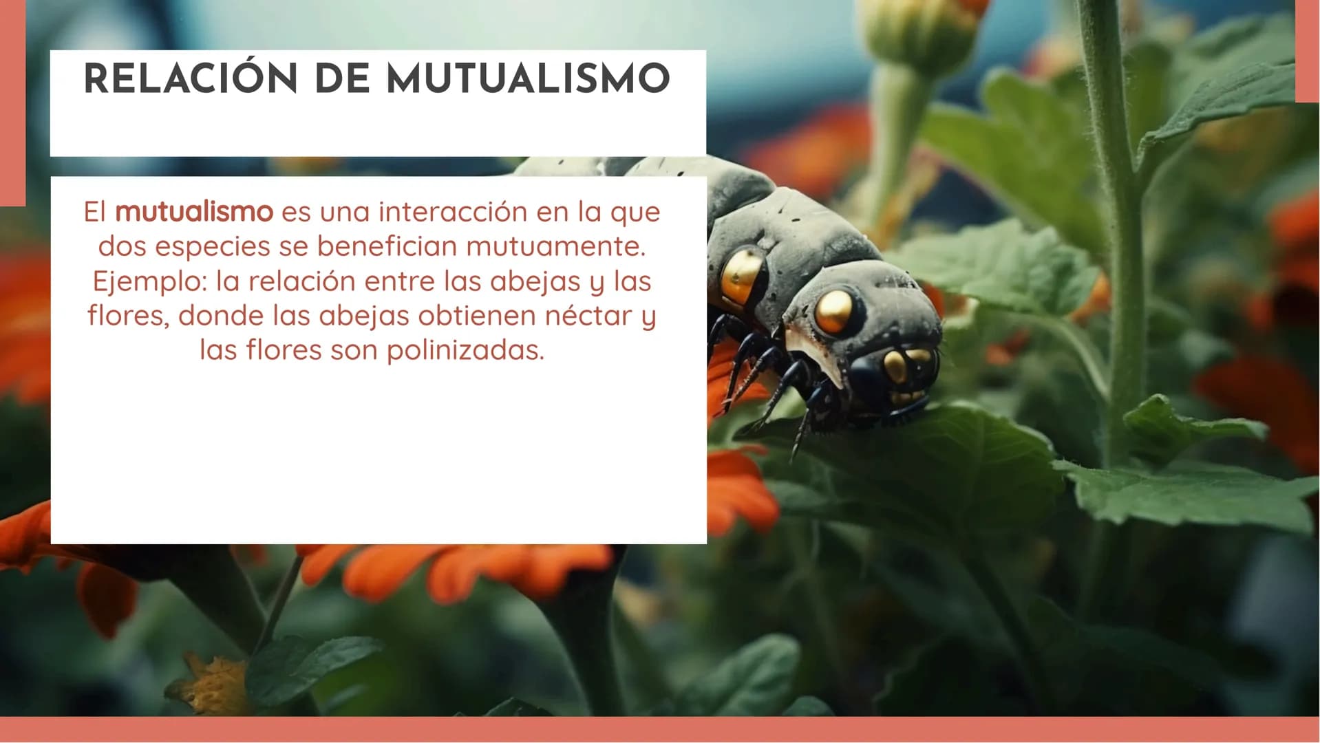 100
EXPLORANDO LAS
RELACIONES
ECOLÓGICAS:
EJEMPLOS Y
DEFINICIONES INTRODUCCIÓN
En esta presentación exploraremos las
relaciones ecológicas e