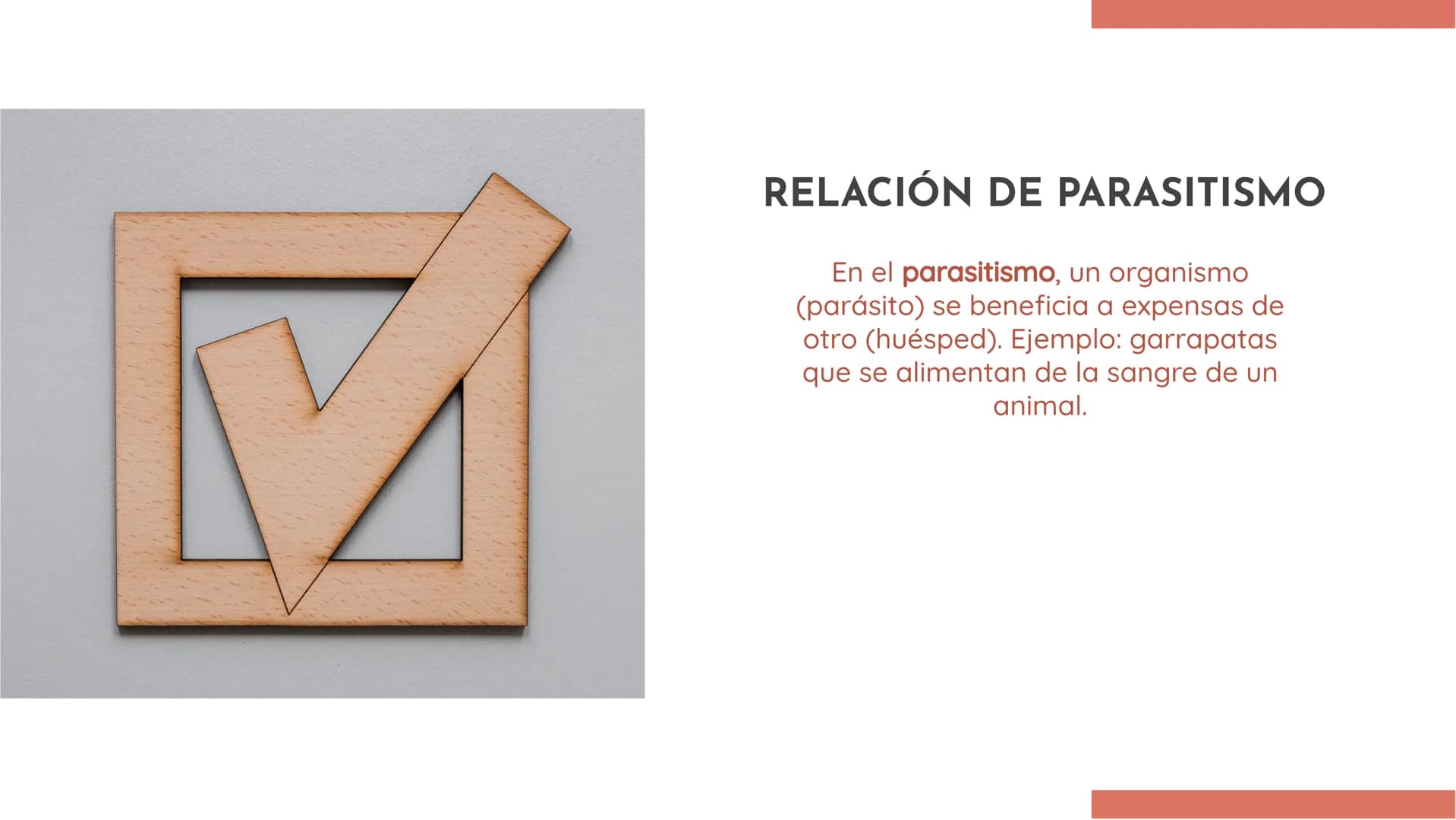 100
EXPLORANDO LAS
RELACIONES
ECOLÓGICAS:
EJEMPLOS Y
DEFINICIONES INTRODUCCIÓN
En esta presentación exploraremos las
relaciones ecológicas e