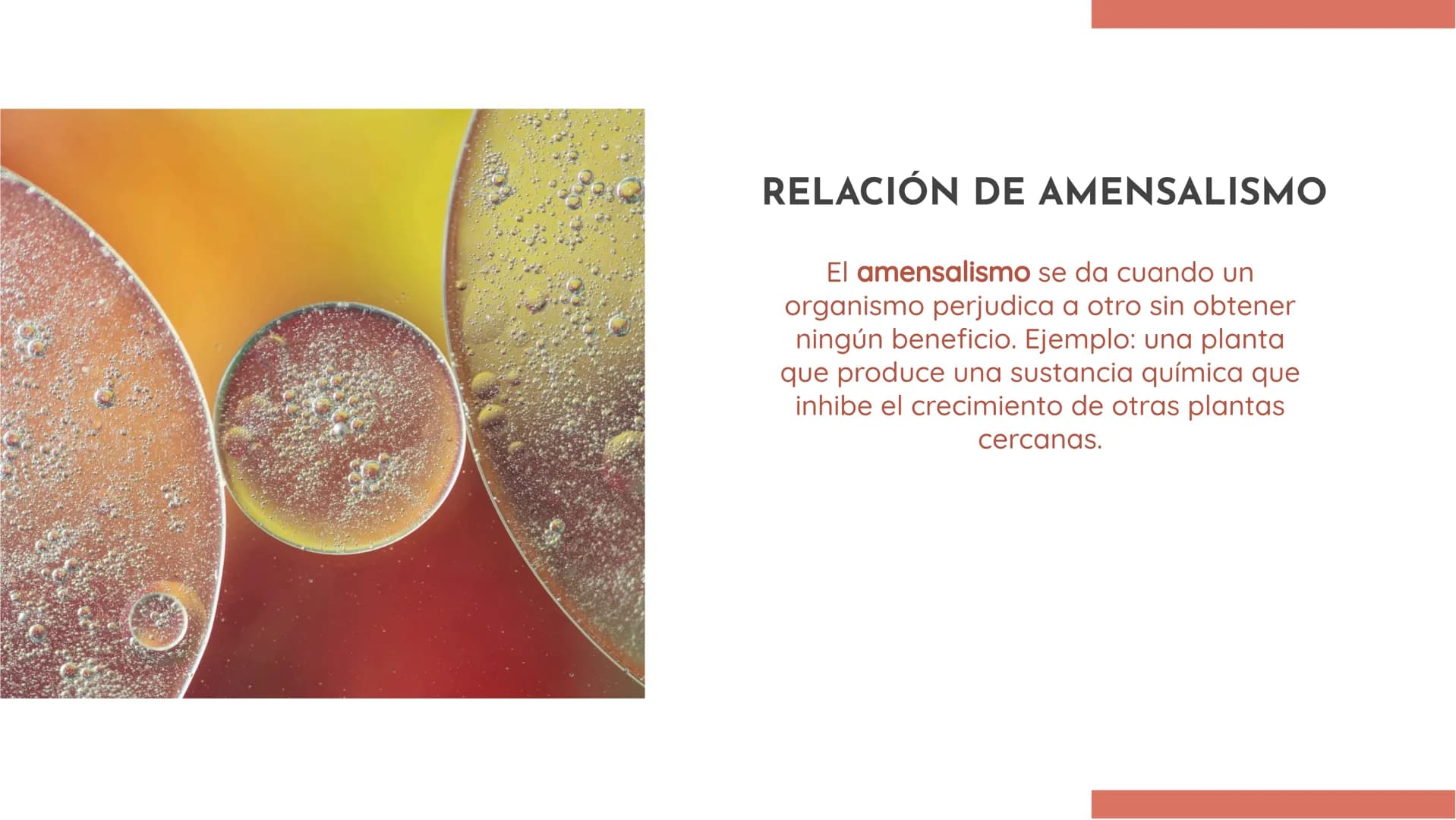 100
EXPLORANDO LAS
RELACIONES
ECOLÓGICAS:
EJEMPLOS Y
DEFINICIONES INTRODUCCIÓN
En esta presentación exploraremos las
relaciones ecológicas e