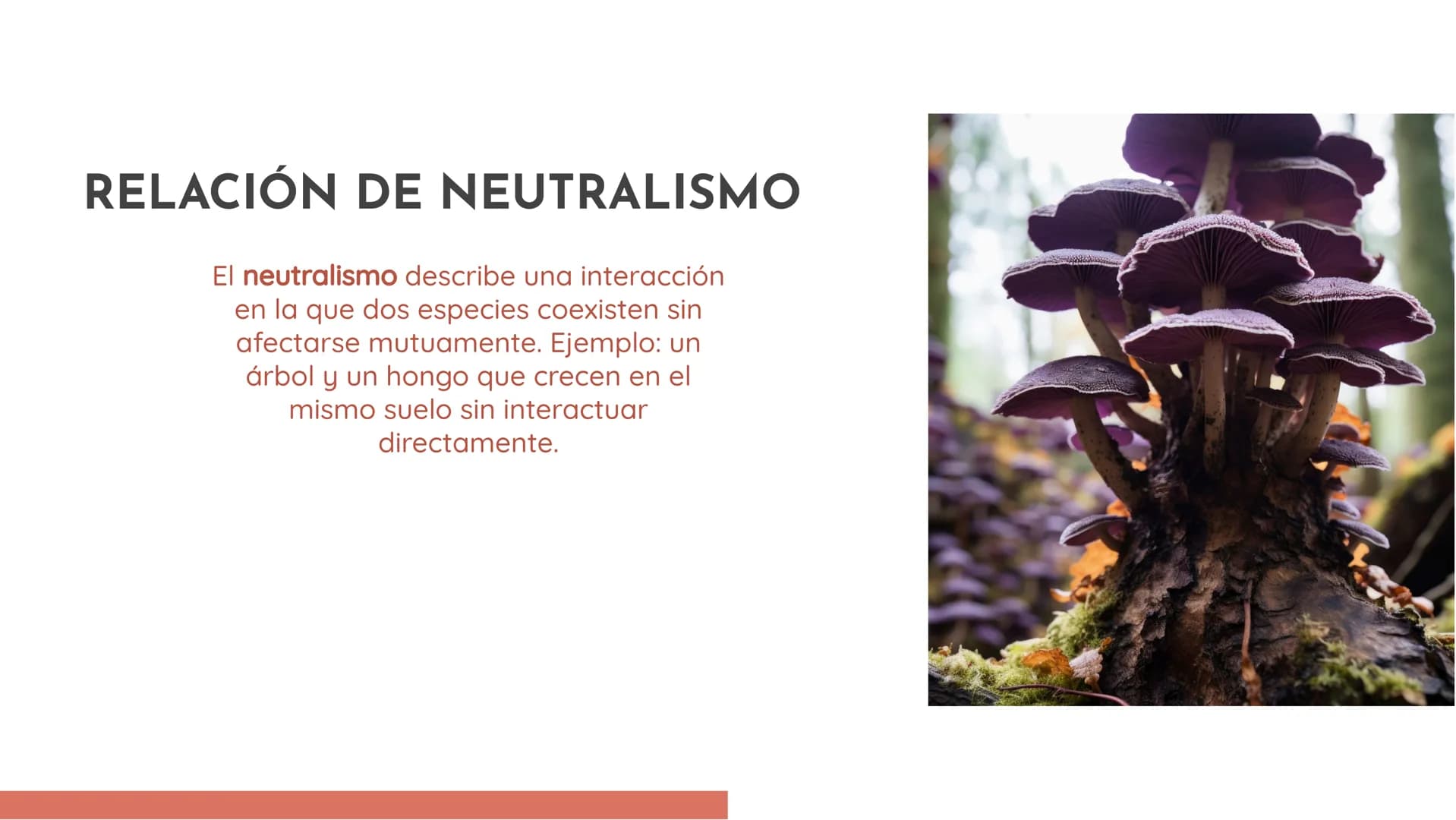 100
EXPLORANDO LAS
RELACIONES
ECOLÓGICAS:
EJEMPLOS Y
DEFINICIONES INTRODUCCIÓN
En esta presentación exploraremos las
relaciones ecológicas e