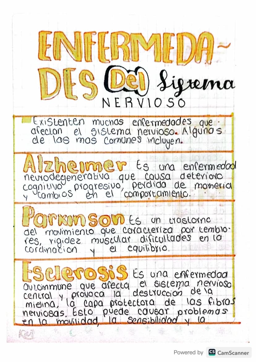 ENFERMEDA~
DES DO Sistema
NERVIOSO
Existenten muchas enfermedades que
afectan el sistema nervioso. Algunos
de las mas comunes incluyen.
Alzh