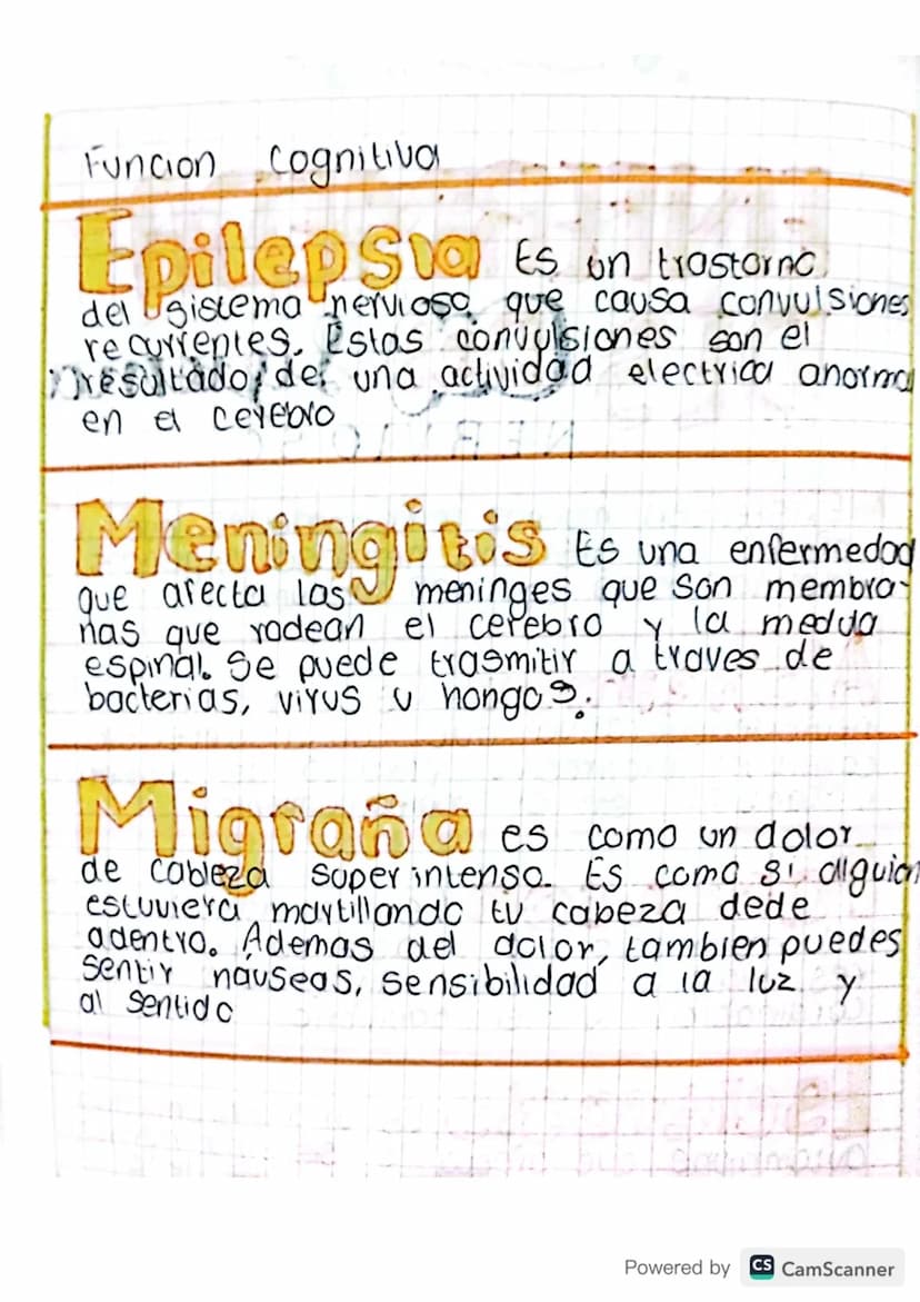 ENFERMEDA~
DES DO Sistema
NERVIOSO
Existenten muchas enfermedades que
afectan el sistema nervioso. Algunos
de las mas comunes incluyen.
Alzh