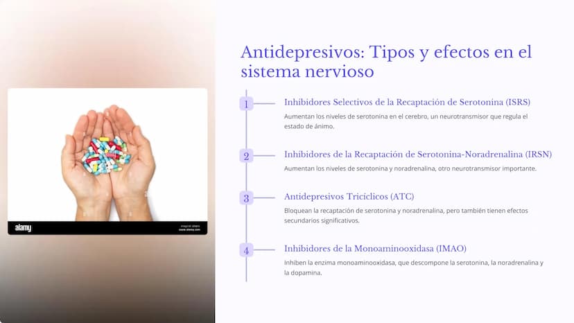 MARKET
Química de los
Medicamentos
La química de los medicamentos es un campo crucial que se encarga
de estudiar la composición, propiedades