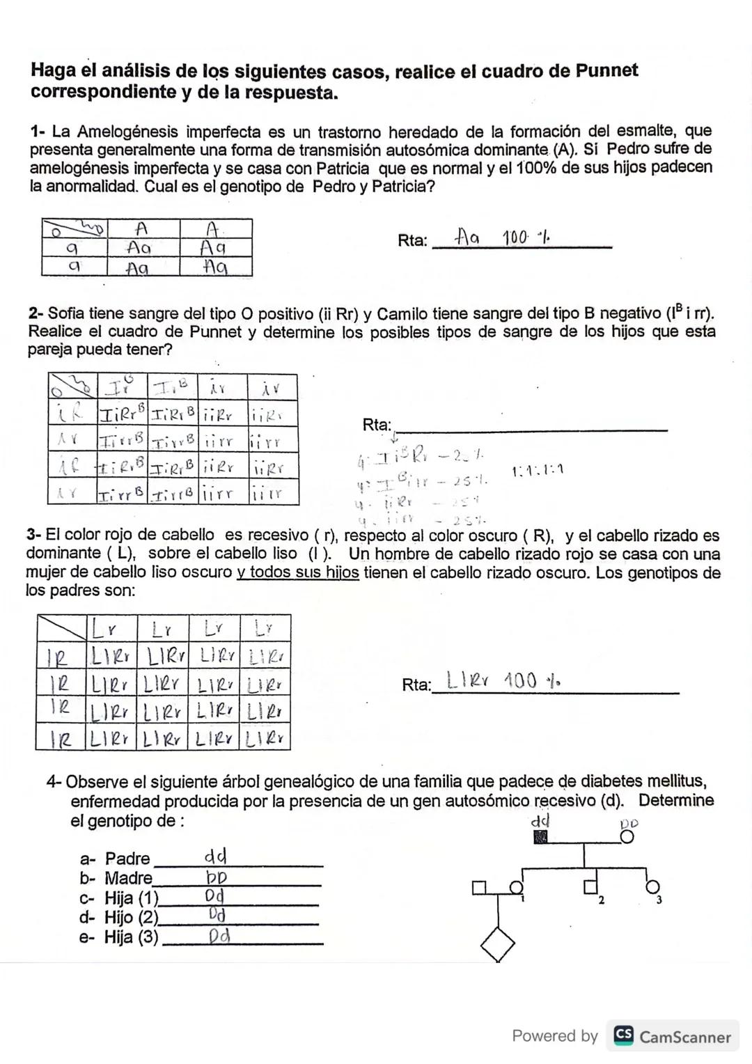 # Haga el análisis de los siguientes casos, realice el cuadro de Punnet
correspondiente y de la respuesta.

1- La Amelogénesis imperfecta es