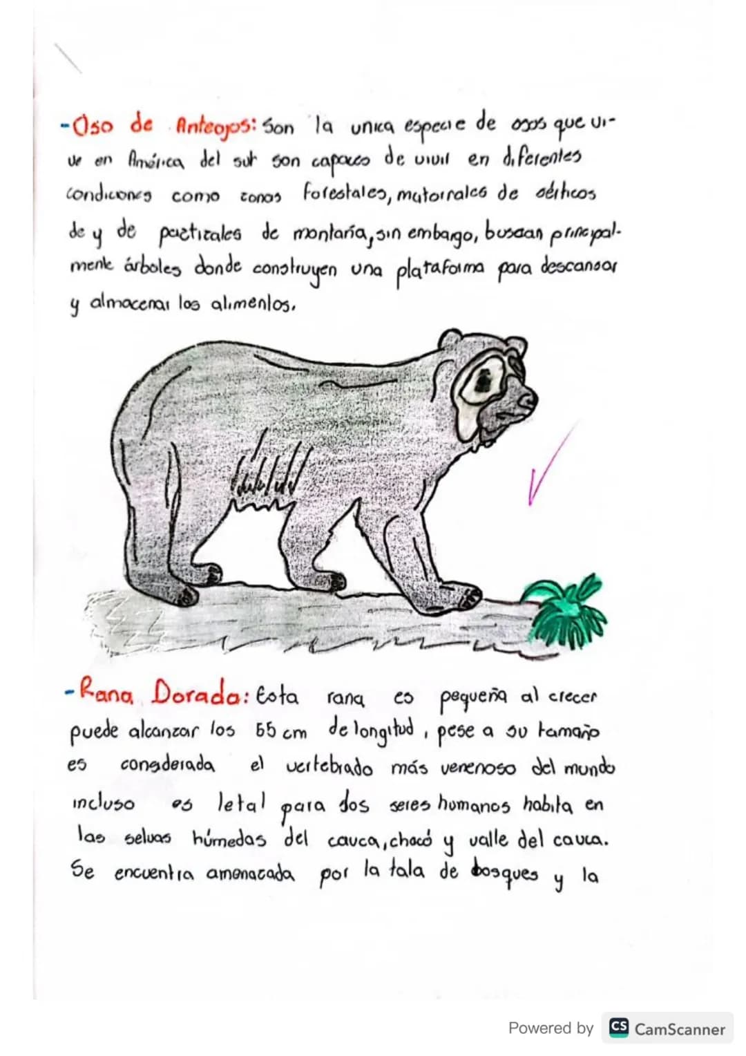 INTRODUCCION
Colombia
95
uno de los países más biodiversos del mundo,
con
una
natural
riqueza
que incluye
más de 54,000 espec-
es de plantas
