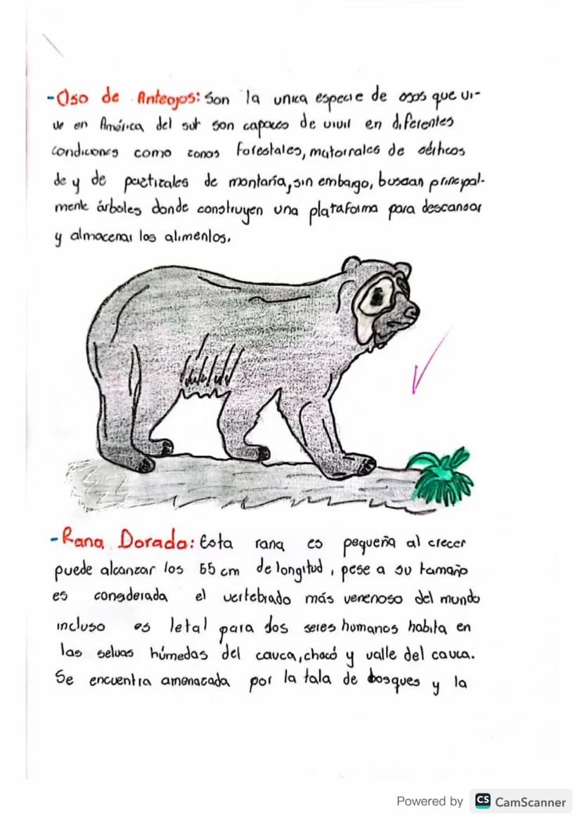 INTRODUCCION
Colombia
95
uno de los países más biodiversos del mundo,
con
una
natural
riqueza
que incluye
más de 54,000 espec-
es de plantas