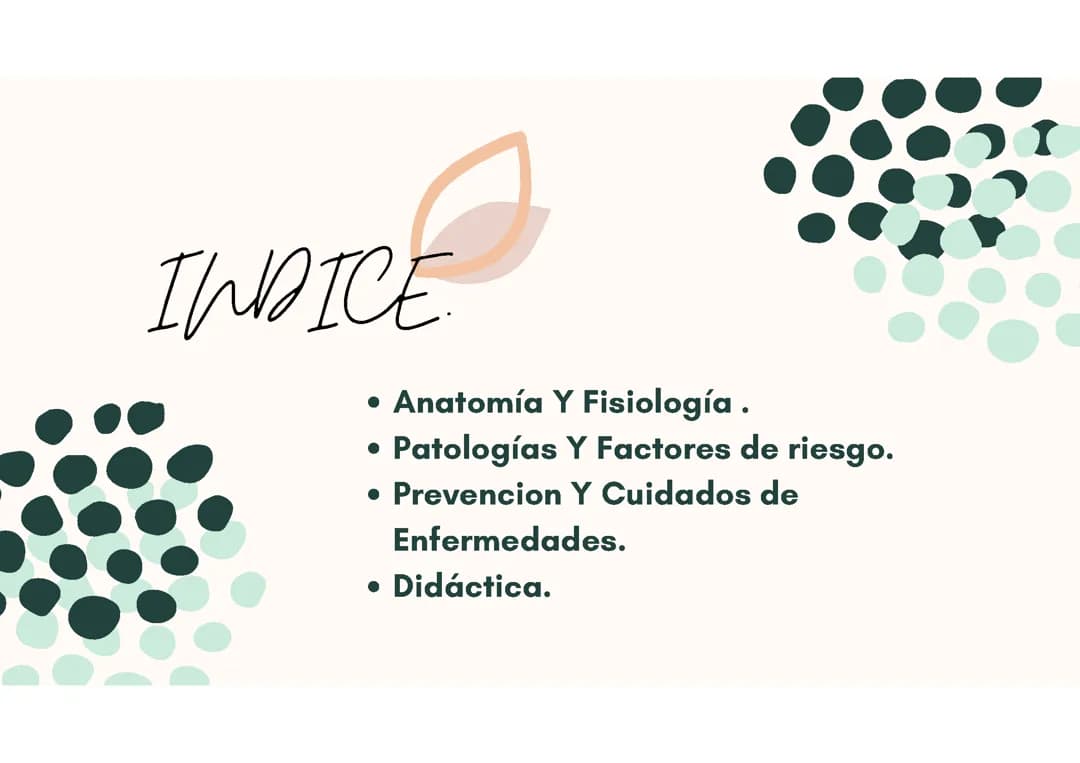 El aparato reproductor masculino 