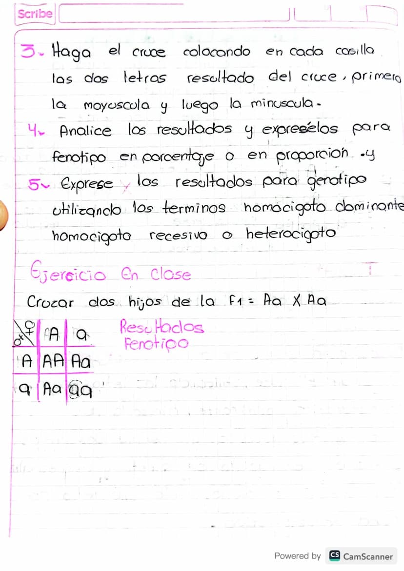 herencia
Gregorio Mendel (1822-1884) - Tacire de
La herencia
La herencia
es el proceso por el cual la
informacion genetica se transmite de p