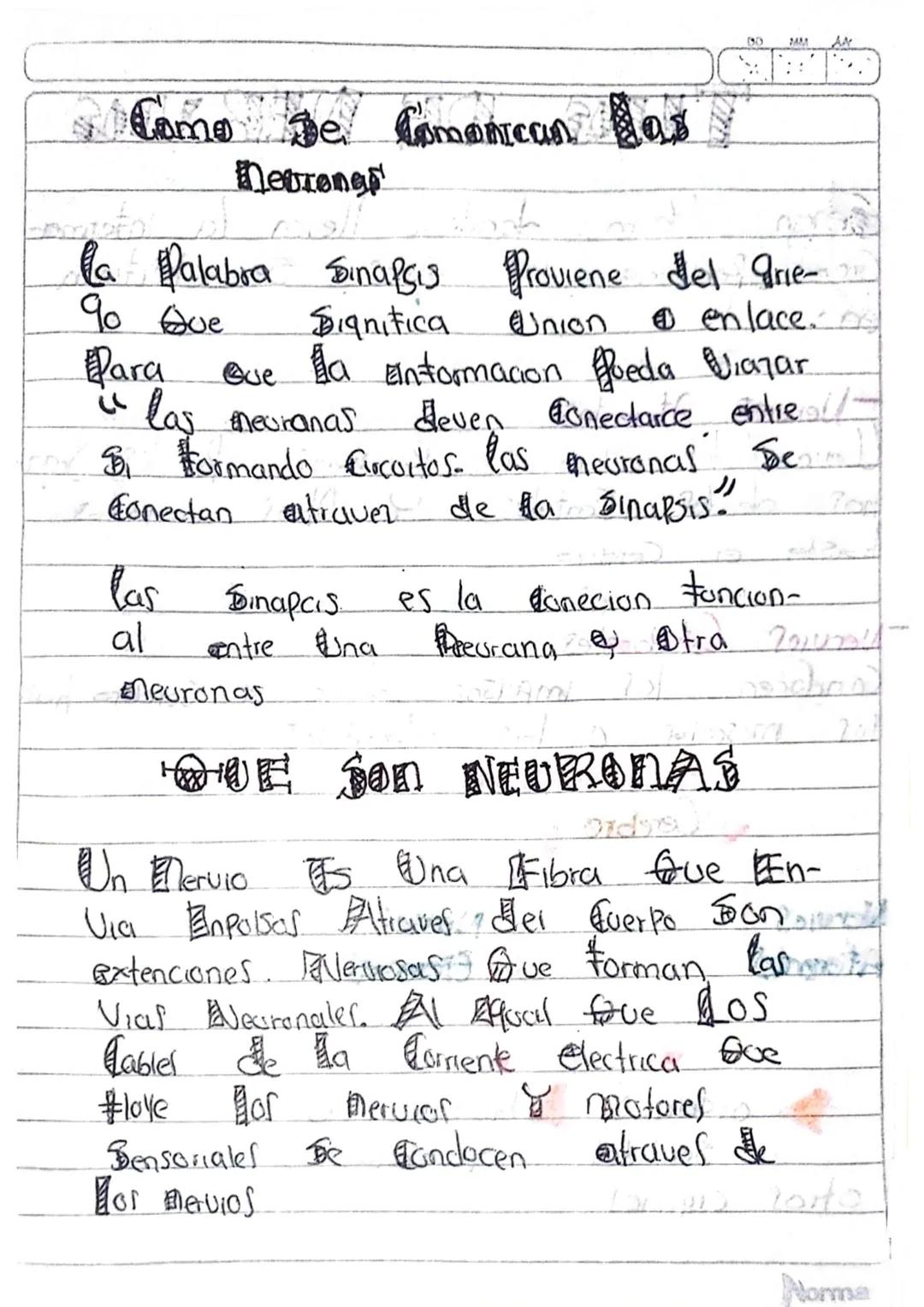 Ca neurona, Sus
Partes & sus tunaones
Cas neuronal Son la Unidad basica
del Sistema nervioso, Son Celulas Condoc
toras may especialisadas, s