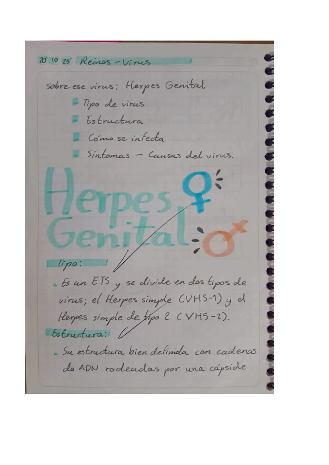 01025 Reinos - Virus

Objetivo: Explicar los conceptos básicos
relacionados con los virus, incluyendo so
estructura, función y cómo afectan 