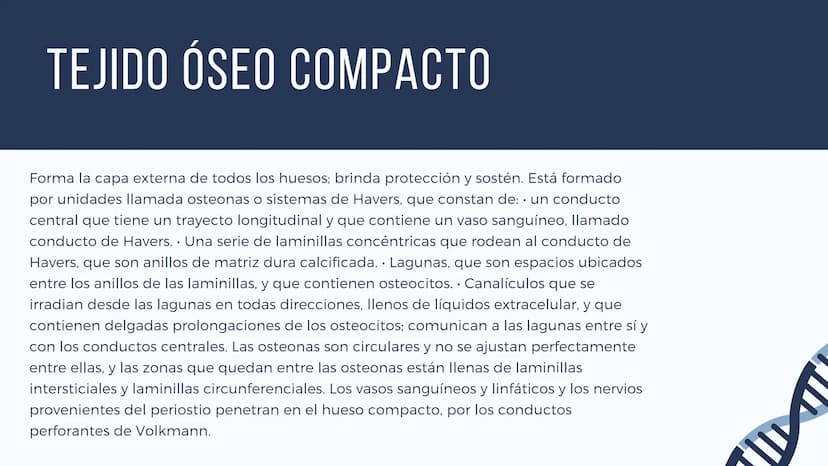 EL SISTEMA
OSEO
++
0. FUNCIONES DEL SISTEMA ESQUELÉTICO
1: sostén: los huesos son el soporte de los tejidos blandos, y el punto de apoyo
de 