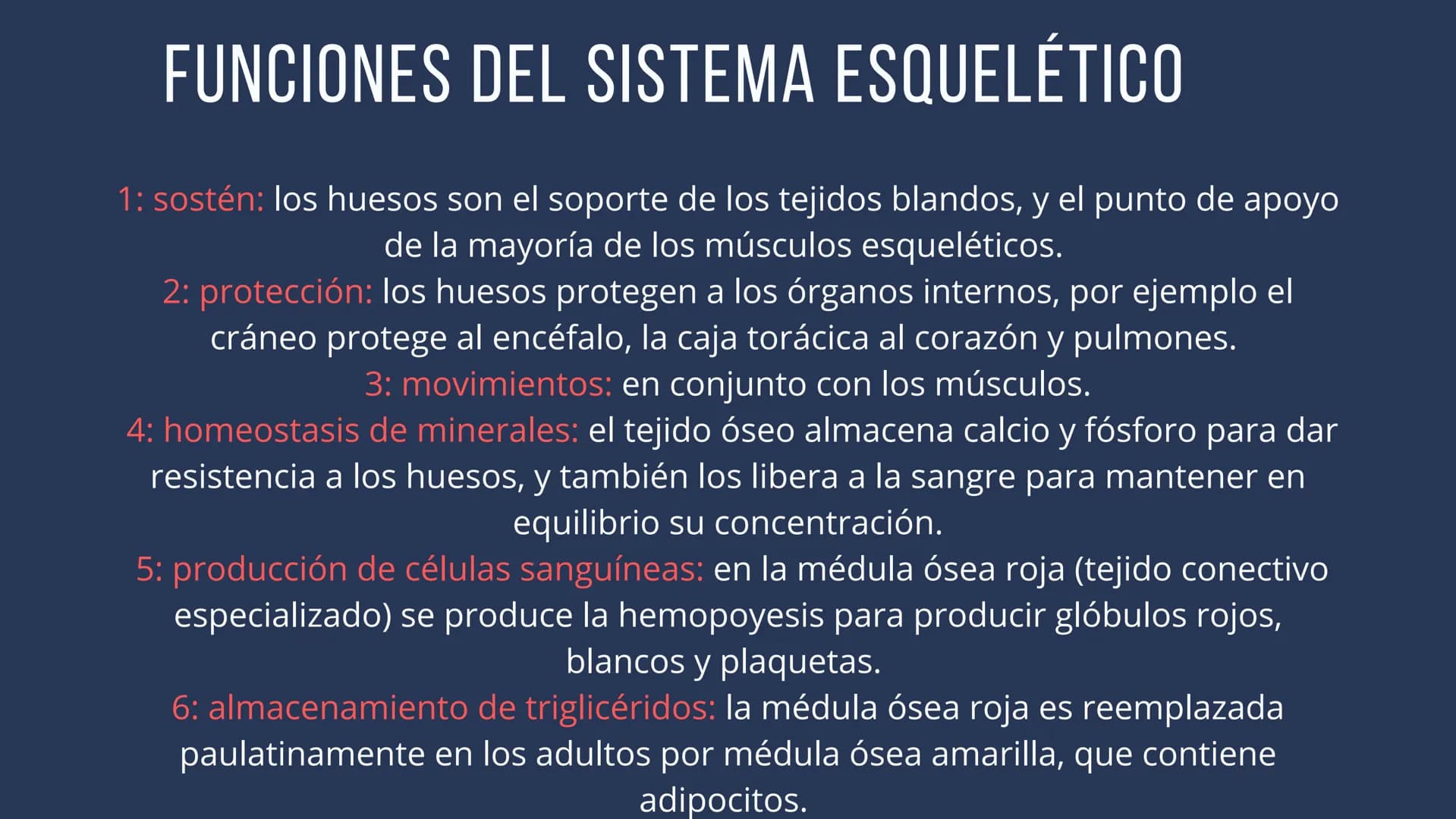 EL SISTEMA
OSEO
++
0. FUNCIONES DEL SISTEMA ESQUELÉTICO
1: sostén: los huesos son el soporte de los tejidos blandos, y el punto de apoyo
de 