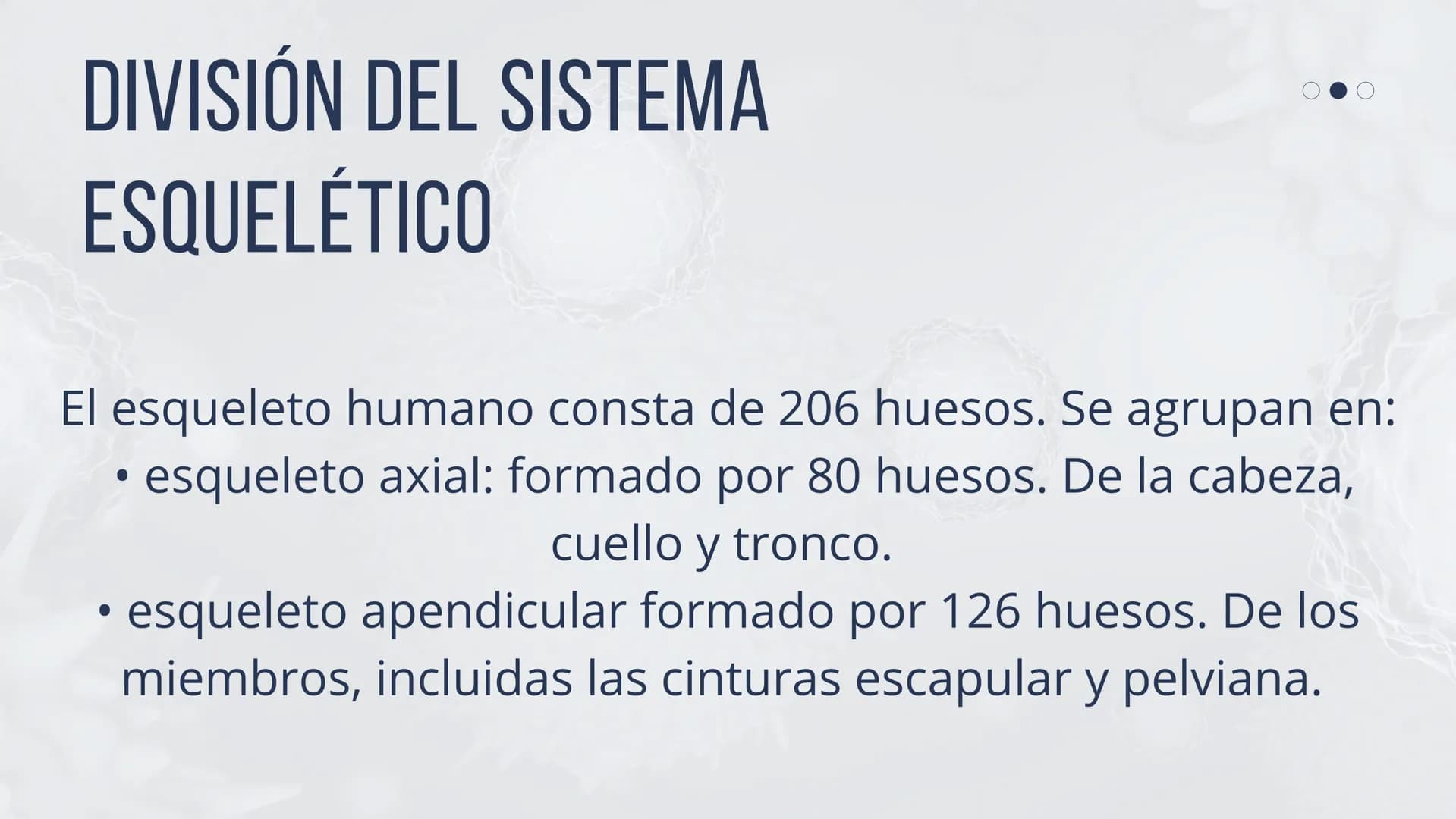 EL SISTEMA
OSEO
++
0. FUNCIONES DEL SISTEMA ESQUELÉTICO
1: sostén: los huesos son el soporte de los tejidos blandos, y el punto de apoyo
de 