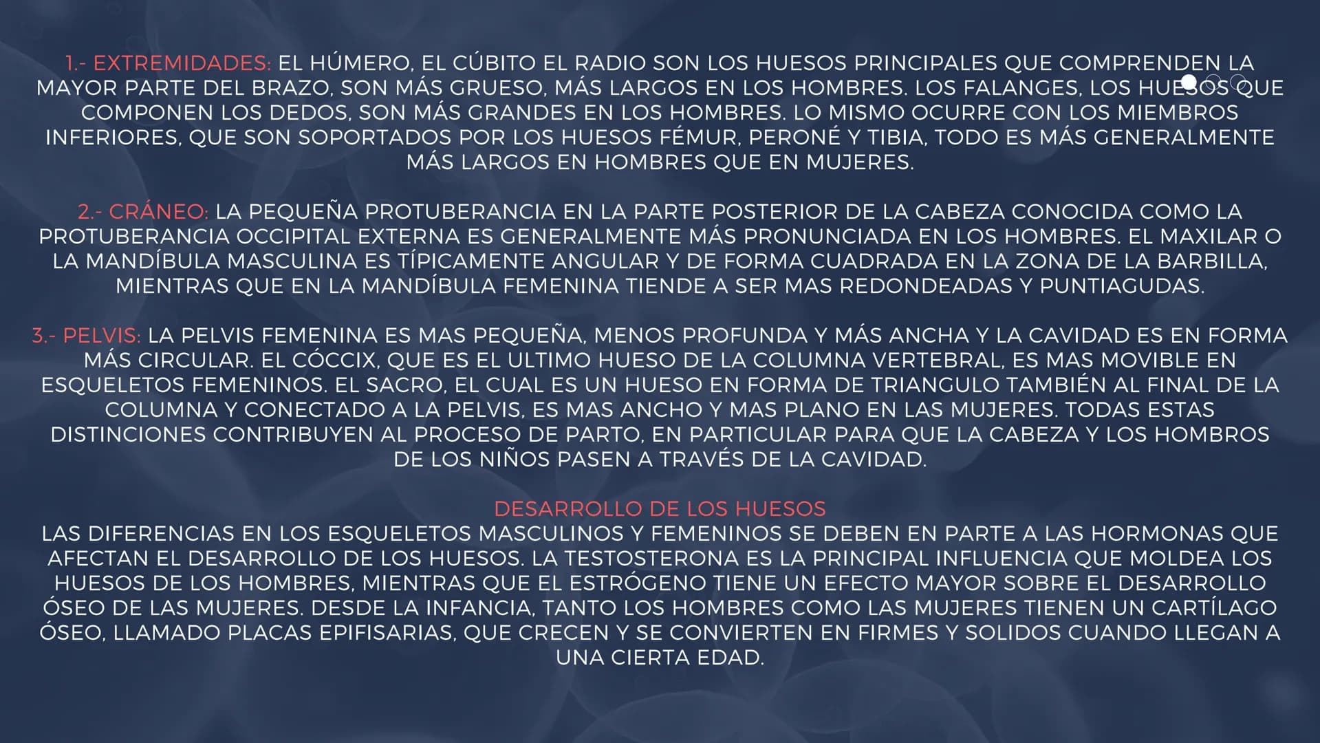EL SISTEMA
OSEO
++
0. FUNCIONES DEL SISTEMA ESQUELÉTICO
1: sostén: los huesos son el soporte de los tejidos blandos, y el punto de apoyo
de 