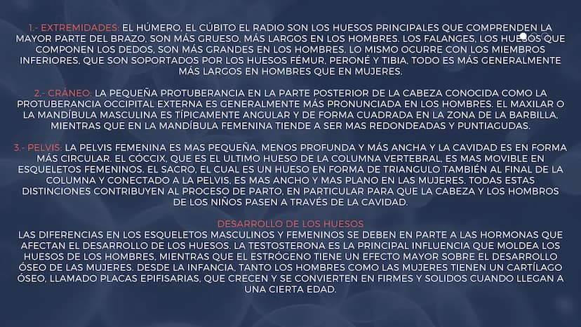 EL SISTEMA
OSEO
++
0. FUNCIONES DEL SISTEMA ESQUELÉTICO
1: sostén: los huesos son el soporte de los tejidos blandos, y el punto de apoyo
de 
