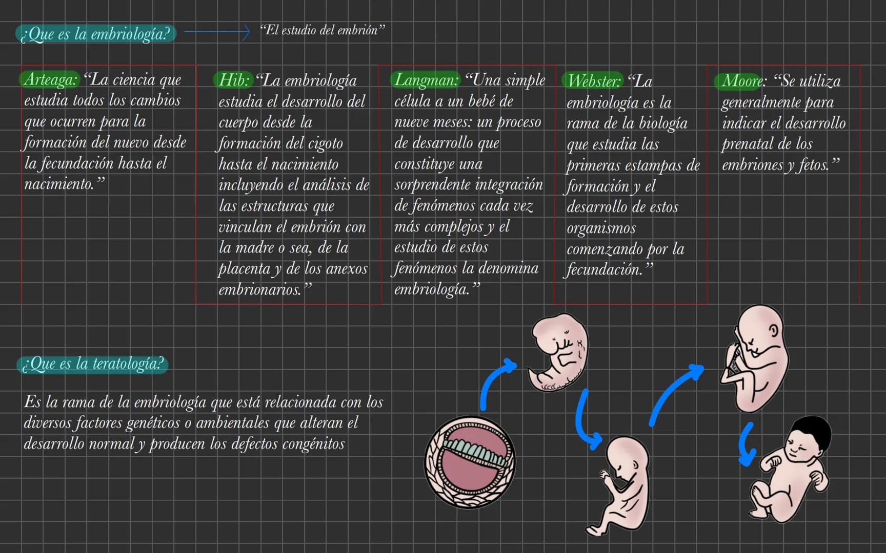 ¿Que es la embriología?
Arteaga: "La ciencia
que
estudia todos los cambios
que ocurren para la
formación del nuevo desde
la fecundación hast