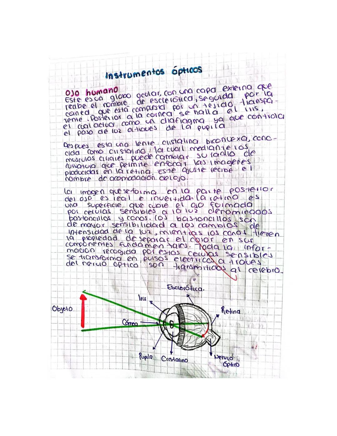 # Instrumentos ópticos

0J0 humano
Este es un globo ocular, con una capa externa que
reabe el nombre de esclerotica, seguida por la
coined q