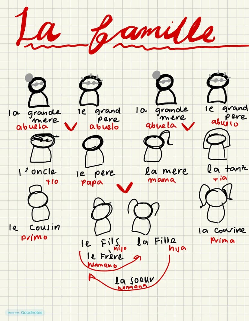 La famille
88
la grande
mere
abuela
l'oncle
8
le grand
pere
abuelo
8
la grande
mere
abuela
8
le grand
pere
авионо
+10
le pere
Papa
la mere
l