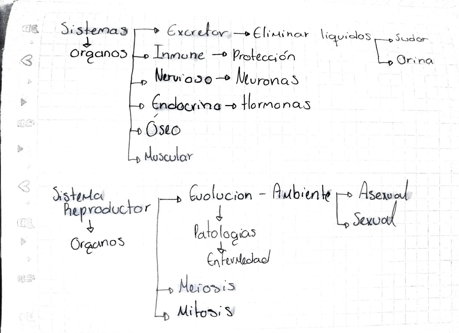 B
Sistemas

d
Organos

D
→ Excretor→Eliminar liquidos

Inmune Protección

Nervioso Neuronas

Endocrina Hormonas

Oseo

Sudar

Orina

Muscula