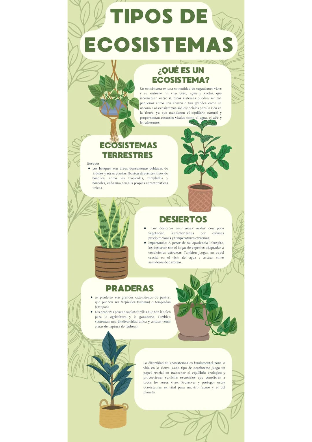 Tipos de ecosistema