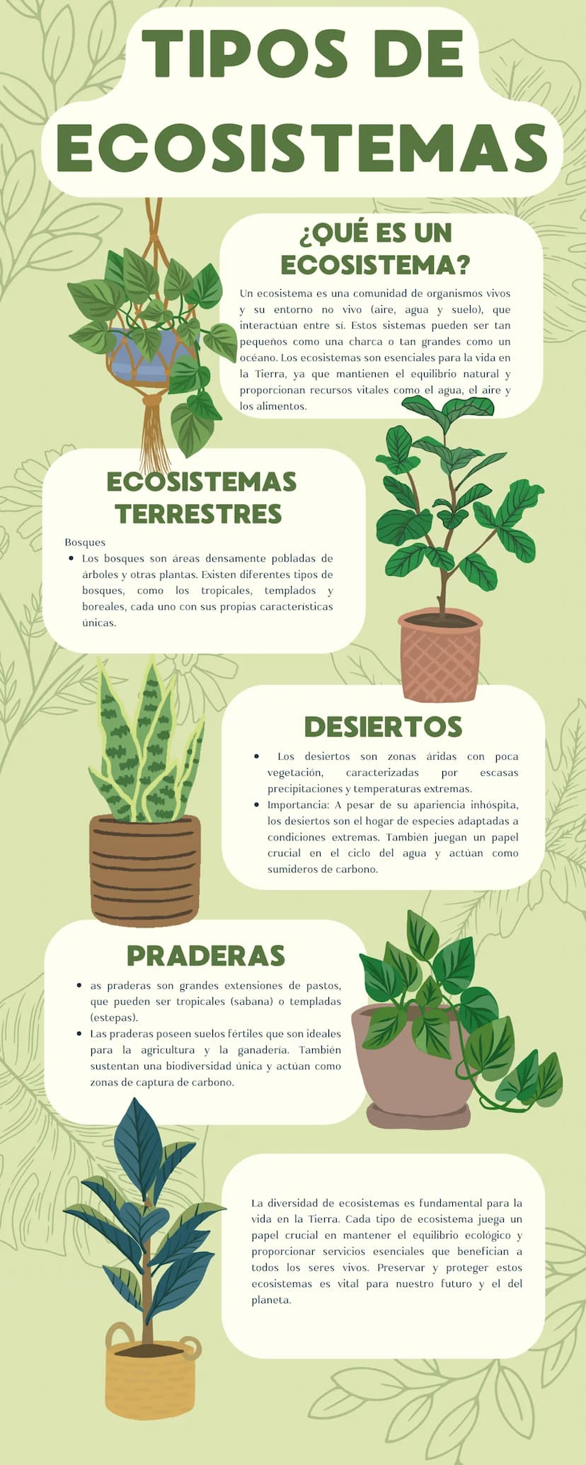 TIPOS DE
ECOSISTEMAS
¿QUÉ ES UN
ECOSISTEMA?
Un ecosistema es una comunidad de organismos vivos
y su entorno no vivo (aire, agua y suelo), qu