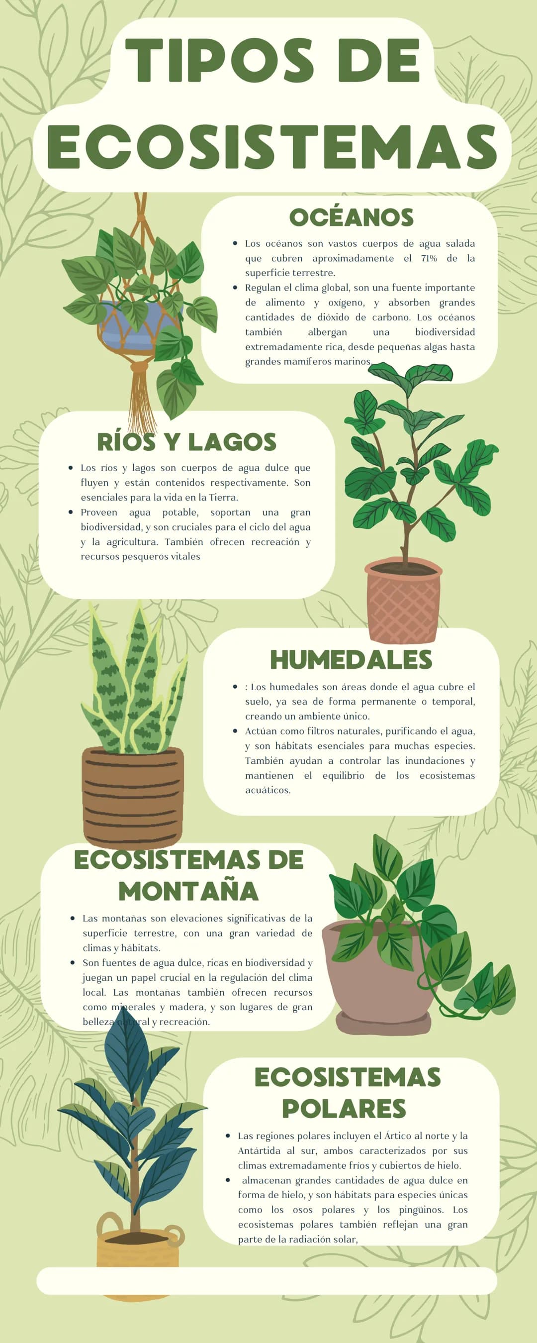 TIPOS DE
ECOSISTEMAS
¿QUÉ ES UN
ECOSISTEMA?
Un ecosistema es una comunidad de organismos vivos
y su entorno no vivo (aire, agua y suelo), qu