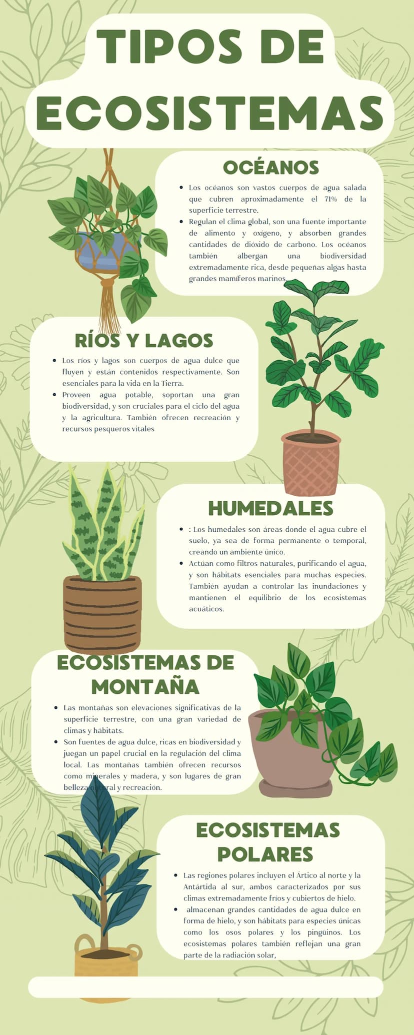 TIPOS DE
ECOSISTEMAS
¿QUÉ ES UN
ECOSISTEMA?
Un ecosistema es una comunidad de organismos vivos
y su entorno no vivo (aire, agua y suelo), qu