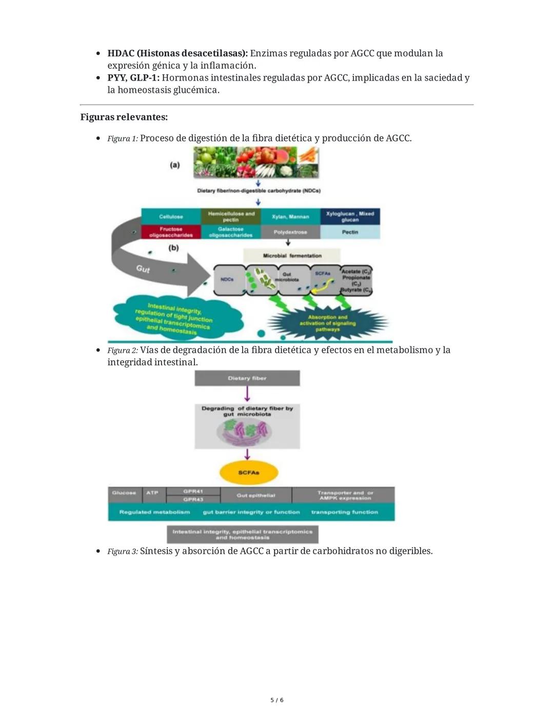 Vínculo molecular entre la fibra dietética, la microbiota
intestinal y la salud
1. Introducción y Resumen General
La fibra dietética, compue