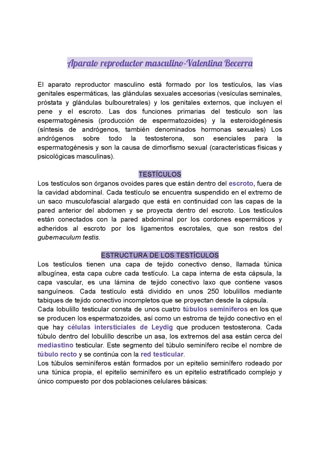 Aparato reproductor masculino 
