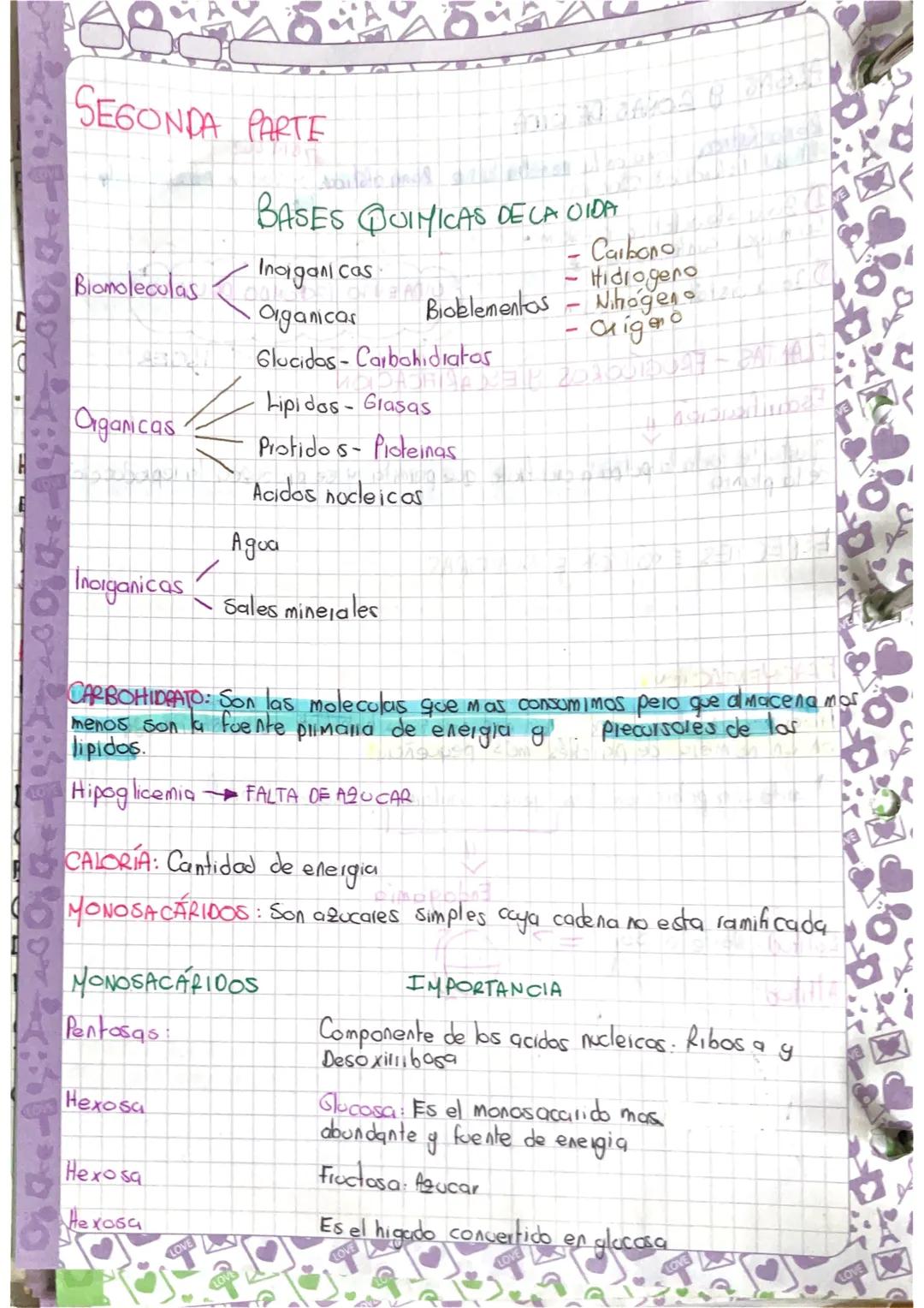 Bases químicas de la vida