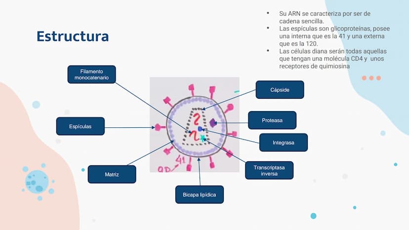 Replicación del virus
VIH ¿Qué es el VIH?
EI VIH es un virus de la familia
retrovidriae, que causa una infección
persistente. Por lo general