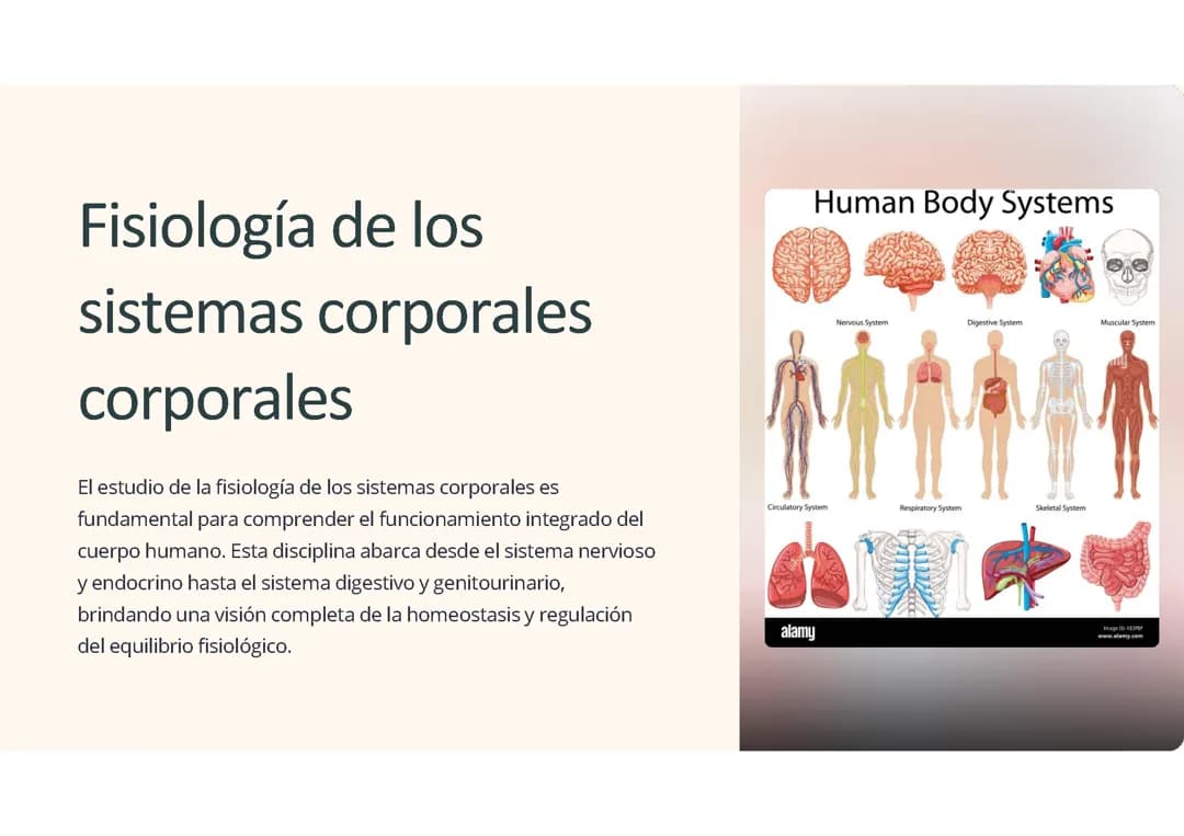 Fisiologia de los sistemas corporales