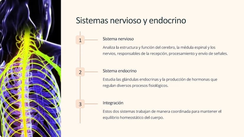 Human Body Systems
Fisiología de los
sistemas corporales
corporales
El estudio de la fisiología de los sistemas corporales es
fundamental pa