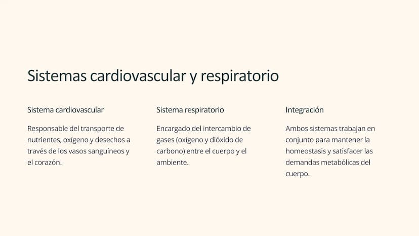Human Body Systems
Fisiología de los
sistemas corporales
corporales
El estudio de la fisiología de los sistemas corporales es
fundamental pa